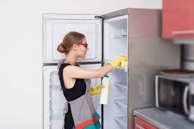 Do's / Don'ts of Cleaning Fridge Using Bleach (By EXPERTS!) - Supportive Guru