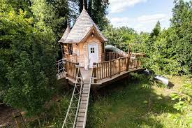Timeless Treehouse Designs Blue Forest