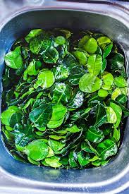kaffir lime leaves and subsute