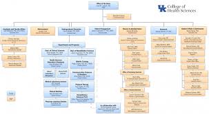 Unc Hospitals Organizational Chart Related Keywords