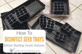 how to disinfect seed trays and flats