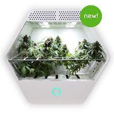 linfa weezy smart grow box fully