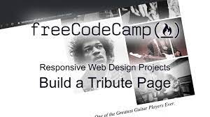 responsive web design projects build