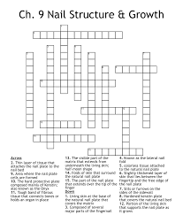 ch 9 nail structure growth crossword