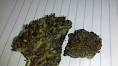 Image result for pole and dagga houses