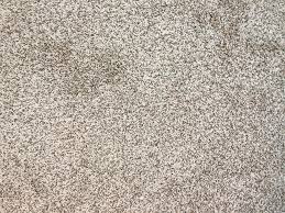 houston carpet offers tips for
