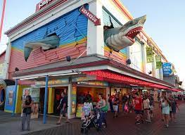 12 best things to do in ocean city md