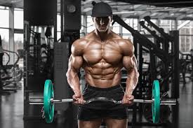 sports gym bodybuilding muscle