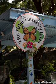 The Maui Butterfly Farm - Local Insider ...