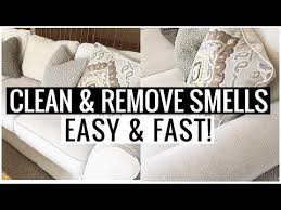 clean couch and remove odors dog