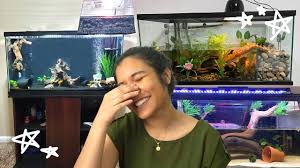 reacting to your 40 gallon turtle tank