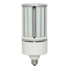 Westinghouse Lighting 150 Watt 300 Watt Equivalent St19 Led Non Dimmable Light Bulb 5000k E26 Medium Standard Base Wayfair