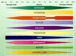 Ph Nutrient Availability Chart Soil Ph Lawn Soil Organic