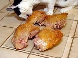 Homemade kidney care cat food can slow the progression of kidney disease. Making Cat Food