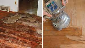 how to get pet stains out of oak fine