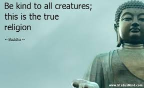 Image result for buddha images
