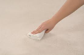 removing pet blood stains carpet