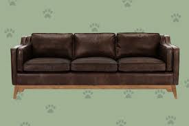 pet friendly couches and sofas