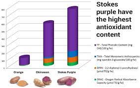 Are stokes purple® sweet potatoes, okinawan sweet potatoes, murasaki sweet potatoes and. How To Cook A Purple Sweet Potato Recipe Nutrition Benefits Recipe Nutrition Course Precision Nutrition Lentil Nutrition Facts