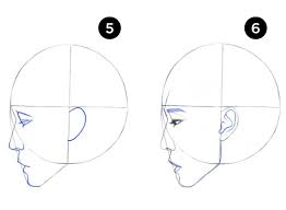 step by step guides of drawing portrait