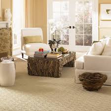 top 10 best carpet s in brookfield