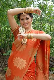 Beauty Galore HD : Sadha Gorgeous And Hot In Orange Saree