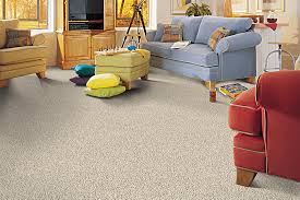 stylish carpeting that is earth