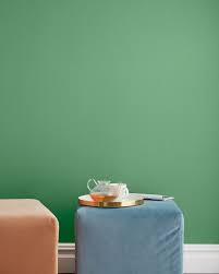 Matcha Latte Interior Paint Wall