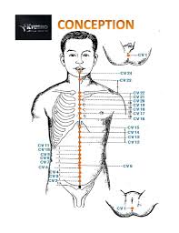 Pressure Point Chart Get Your Free Copy Now