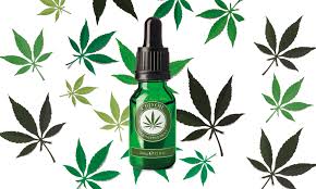 However, cannabis essential oil is a beneficial essential oil and is widely considered one of the most effective oils for the alleviation of certain illnesses and conditions. Cbd Oil Why It S Hard To Know What You Re Getting Which News
