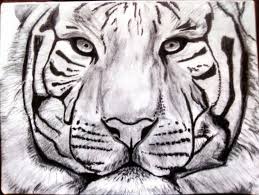 Le tigre du dessin n'a pas l'air bien méchant. Le Tigre Desenho Por Momar Artmajeur