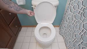 How to Replace a Toilet Seat