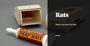 what is the best rat bait s