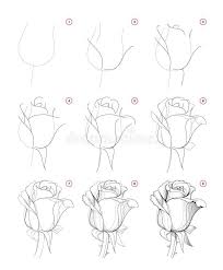The tutorial easy instructions step by step. How To Draw Step Wise Beautiful Rose Flower Bud Creation Step By Step Pencil Drawing Educational In 2021 Flower Drawing Tutorials Flower Drawing Easy Flower Drawings