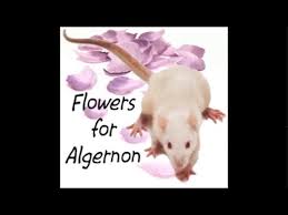 flowers for algernon audiobook part i