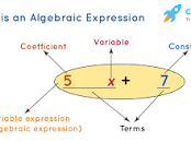 Image result for algebraic expression