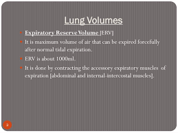 ppt lung volumes capacities