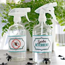 3 ing spider spray deter