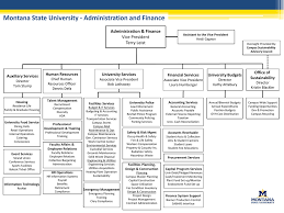 Organizational Chart Montana State University