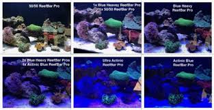 44 Reefbar Pro Ultra Actinic Blue Red Uv Aquarium Led Light 42 X 3w Bridgelux Led Reef Saltwater Salt Water