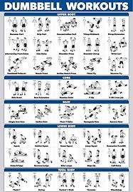 Palace Learning Dumbbell Workout Exercise Poster Free Weight Import It All