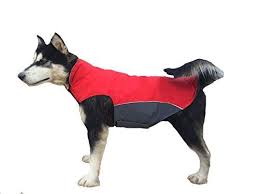 Dog Winter Coat Waterproof Dog Coats