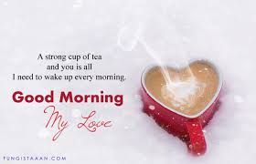 Good morning love messages for him or her. Top 100 Good Morning Love Wishes Quotes Images Status Shayari