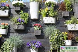 Garden Pots How To Use Decorative