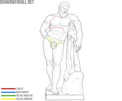 Human torso sketch at paintingvalley com explore collection of. Torso Bones Anatomy Drawingforall Net