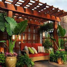 75 Tropical Container Garden Ideas You