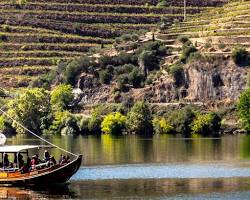 wine tasting in Douro Valley