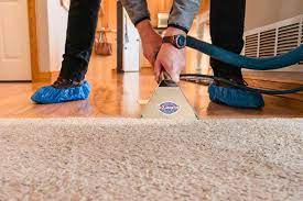 1 for carpet cleaning in loveland with