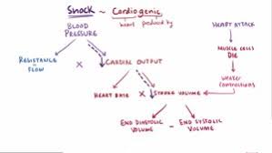 Shock Circulatory Wikipedia