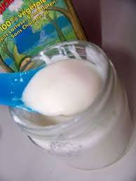 yaourt au lait végétal d amande bio